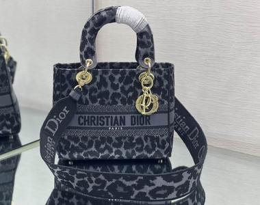 DIOR Handbags 582